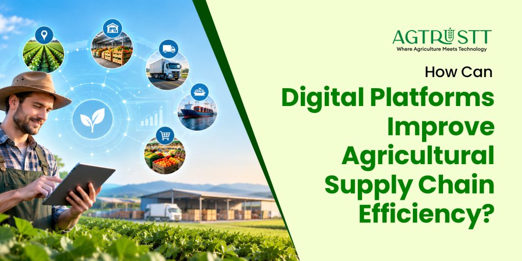How Can Digital Platforms Improve Agricultural Supply Chain Efficiency