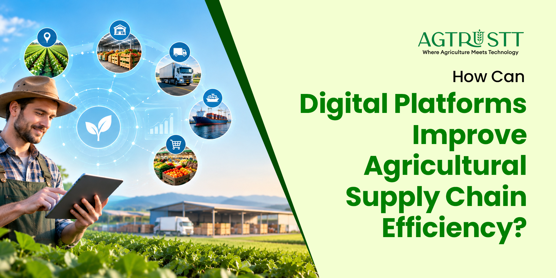 How Can Digital Platforms Improve Agricultural Supply Chain Efficiency
