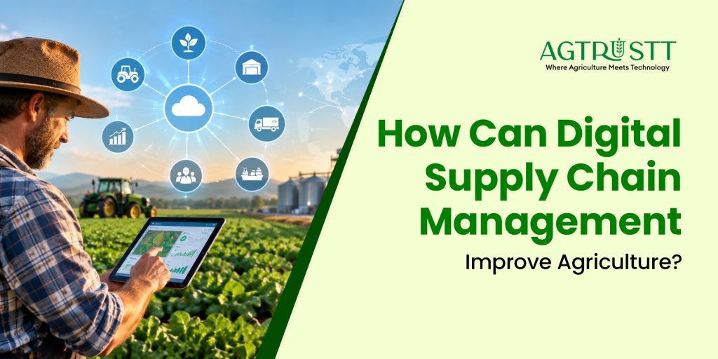 How Can Digital Supply Chain Management Improve Agriculture?