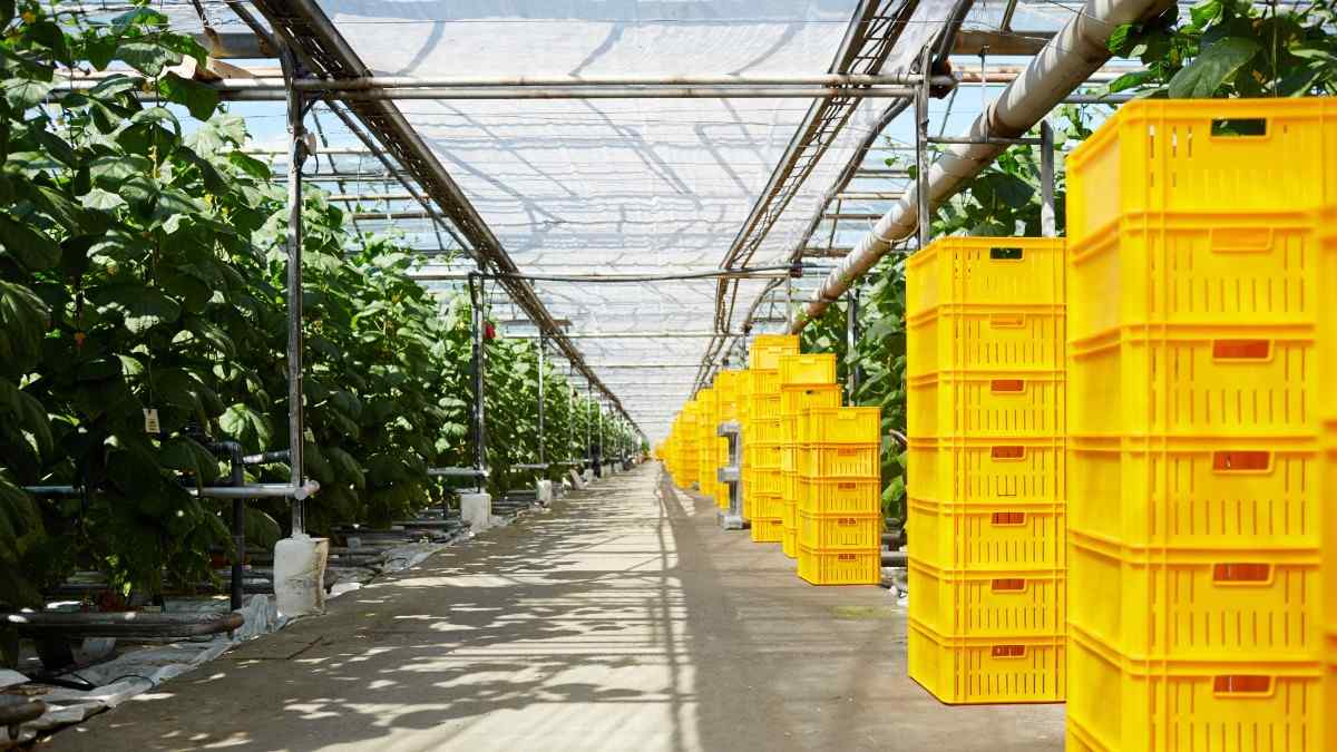 Empowering Agri Ecosystems with Trust & Technology