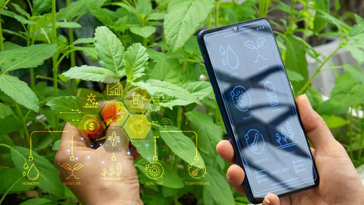 Building a connected Agri Ecosystem