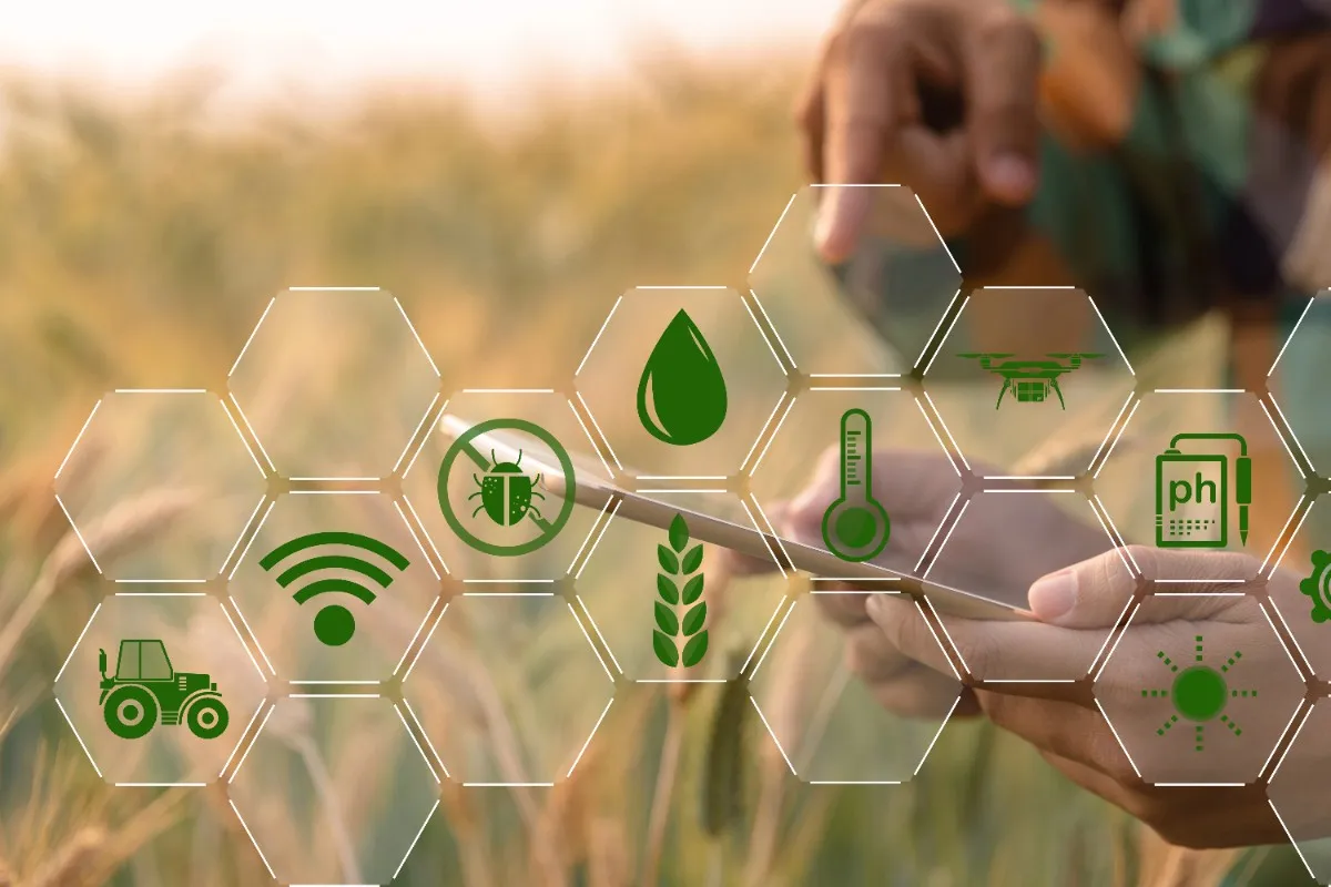 Consistent Raw Material Supply