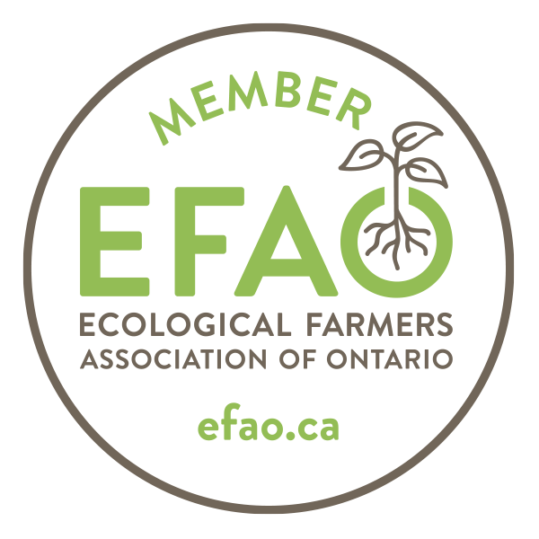EFAO Member
