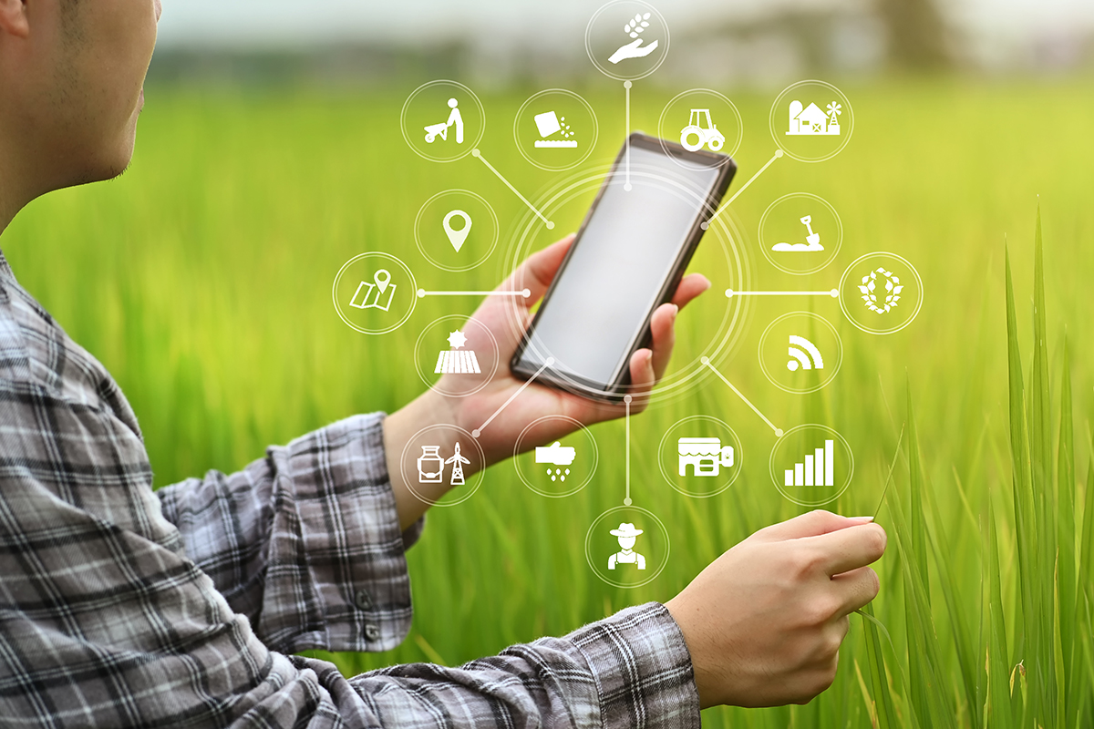 Visibility of Demand